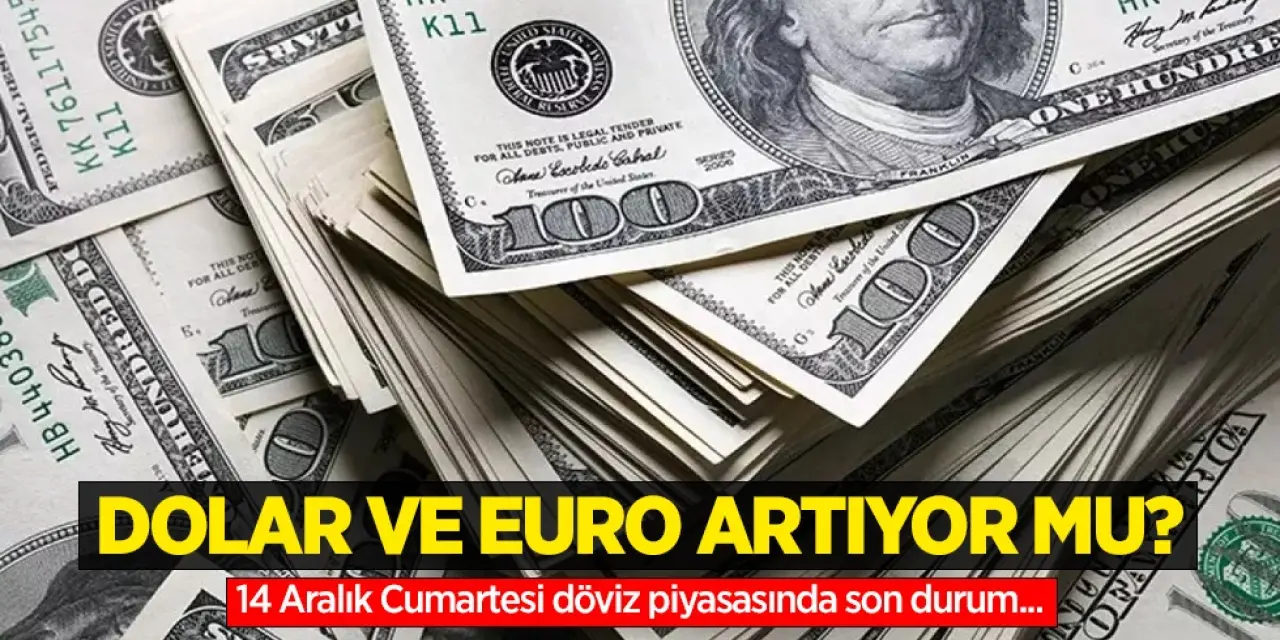 14 Aralık 2024 Döviz Kurları: Dolar ve Euro Fiyatları Ne Kadar?